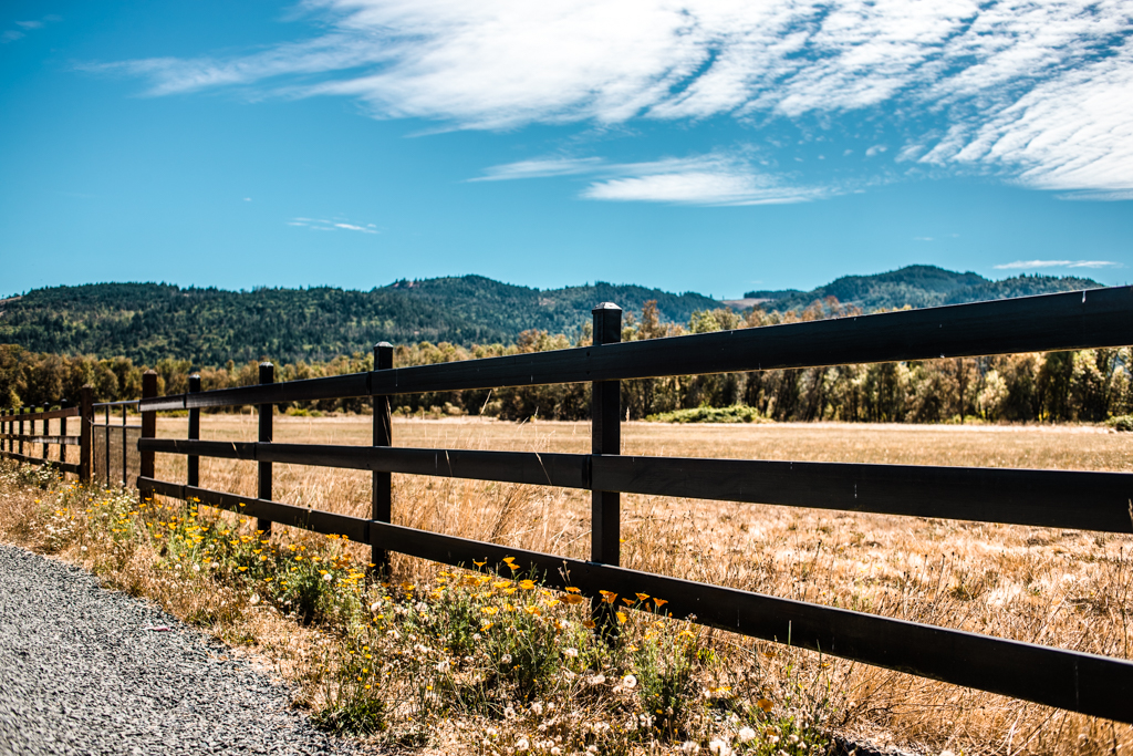 Wooden Split Rail Fence
