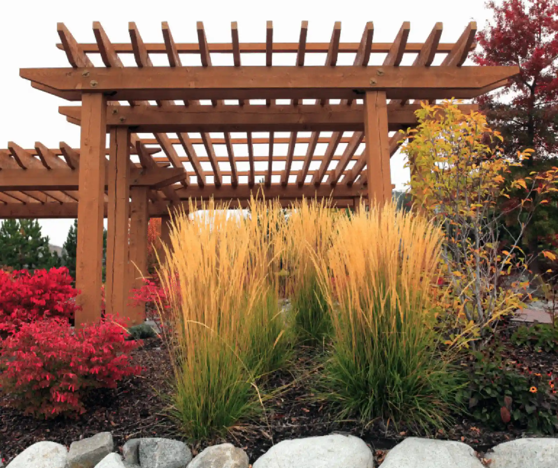 traditional wooden pergola - What is a pergola - gazebo vs pergola​ comparison