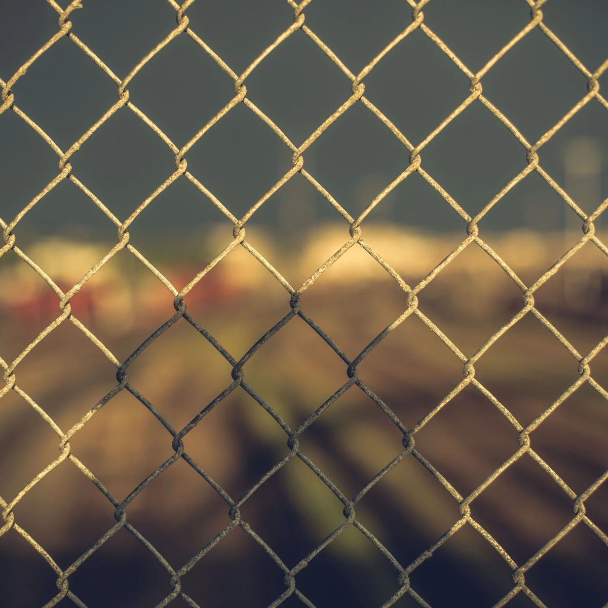Chainlink Fences